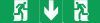 Etiquette Picto de signalisation pour BAES  